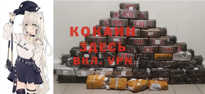 продажа наркотиков  Новороссийск  Cocaine Перу 